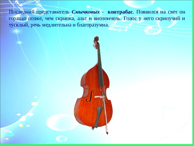 Последний представитель Смычковых - контрабас . Появился на свет он гораздо позже, чем скрипка, альт и виолончель. Голос у него скрипучий и тусклый, речь медлительна и благоразумна. 
