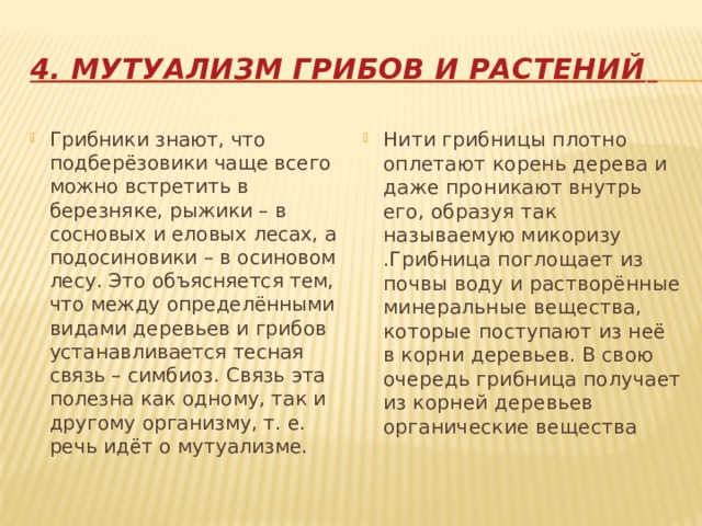 4. Мутуализм грибов и растений  Грибники знают, что подберёзовики чаще всего можно встретить в березняке, рыжики – в сосновых и еловых лесах, а подосиновики – в осиновом лесу. Это объясняется тем, что между определёнными видами деревьев и грибов устанавливается тесная связь – симбиоз. Связь эта полезна как одному, так и другому организму, т. е. речь идёт о мутуализме. Нити грибницы плотно оплетают корень дерева и даже проникают внутрь его, образуя так называемую микоризу .Грибница поглощает из почвы воду и растворённые минеральные вещества, которые поступают из неё в корни деревьев. В свою очередь грибница получает из корней деревьев органические вещества 