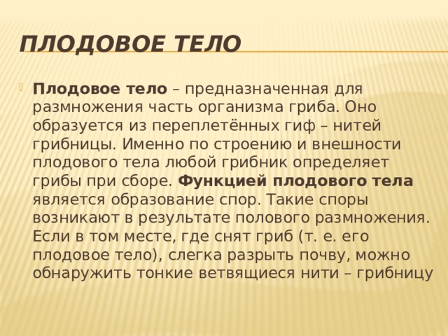 Плодовое тело Плодовое тело – предназначенная для размножения часть организма гриба. Оно образуется из переплетённых гиф – нитей грибницы. Именно по строению и внешности плодового тела любой грибник определяет грибы при сборе. Функцией плодового тела является образование спор. Такие споры возникают в результате полового размножения. Если в том месте, где снят гриб (т. е. его плодовое тело), слегка разрыть почву, можно обнаружить тонкие ветвящиеся нити – грибницу 