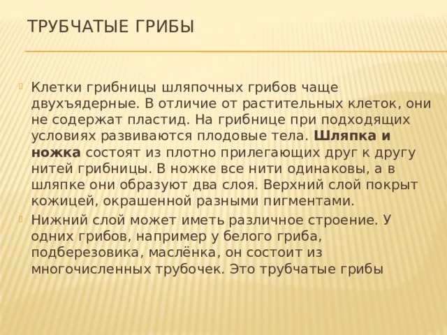 Трубчатые грибы   Клетки грибницы шляпочных грибов чаще двухъядерные. В отличие от растительных клеток, они не содержат пластид. На грибнице при подходящих условиях развиваются плодовые тела. Шляпка и ножка состоят из плотно прилегающих друг к другу нитей грибницы. В ножке все нити одинаковы, а в шляпке они образуют два слоя. Верхний слой покрыт кожицей, окрашенной разными пигментами. Нижний слой может иметь различное строение. У одних грибов, например у белого гриба, подберезовика, маслёнка, он состоит из многочисленных трубочек. Это трубчатые грибы 