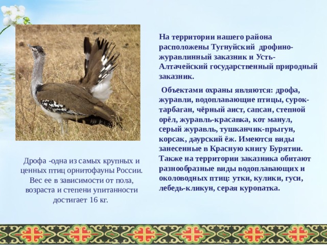 На территории нашего района расположены Тугнуйский дрофино- журавлинный заказник и Усть-Алтачейский государственный природный заказник.  Объектами охраны являются: дрофа, журавли, водоплавающие птицы, сурок-тарбаган, чёрный аист, сапсан, степной орёл, журавль-красавка, кот манул, серый журавль, тушканчик-прыгун, корсак, даурский ёж. Имеются виды занесенные в Красную книгу Бурятии. Также на территории заказника обитают разнообразные виды водоплавающих и околоводных птиц: утки, кулики, гуси, лебедь-кликун, серая куропатка. Дрофа -одна из самых крупных и ценных птиц орнитофауны России. Вес ее в зависимости от пола, возраста и степени упитанности достигает 16 кг.  