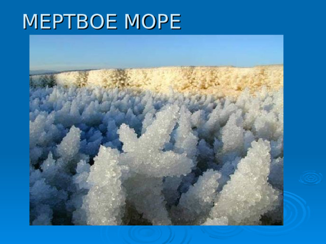 МЕРТВОЕ МОРЕ 