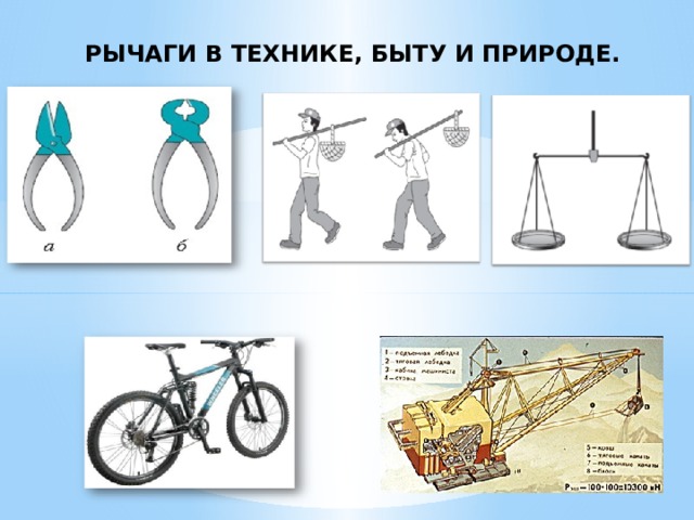 Рычаги в технике, быту и природе.   
