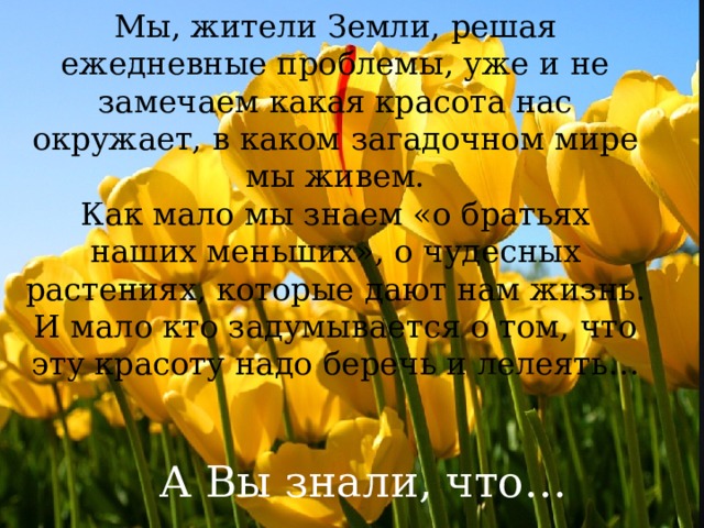 Мы, жители Земли, решая ежедневные проблемы, уже и не замечаем какая красота нас окружает, в каком загадочном мире мы живем. Как мало мы знаем «о братьях наших меньших», о чудесных растениях, которые дают нам жизнь. И мало кто задумывается о том, что эту красоту надо беречь и лелеять… Различные Факты А Вы знали, что…  