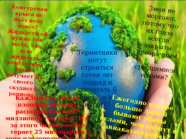 Кенгуровая крыса не пьёт воду вовсе? Жидкости ей нужно так мало, что всю жидкость кенгуровая крыса получает из своего скудного рациона. Змеи не моргают, потому что их глаза всегда закрыты прозрачными сросшимися веками? Ежегодно в мире больше людей бывают убиты ослами, чем гибнут в авиакатастрофах? Термитники могут строиться сотни лет подряд и достигать 6 метров в высоту? Каждый год общая площадь пустынь расширяется на 27 миллионов гектаров. Из-за этого человечество теряет 25 миллиардов тонн плодородной почвы ежегодно. 