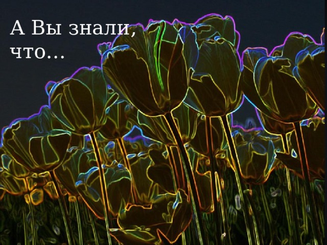 А Вы знали, что… Различные Факты  