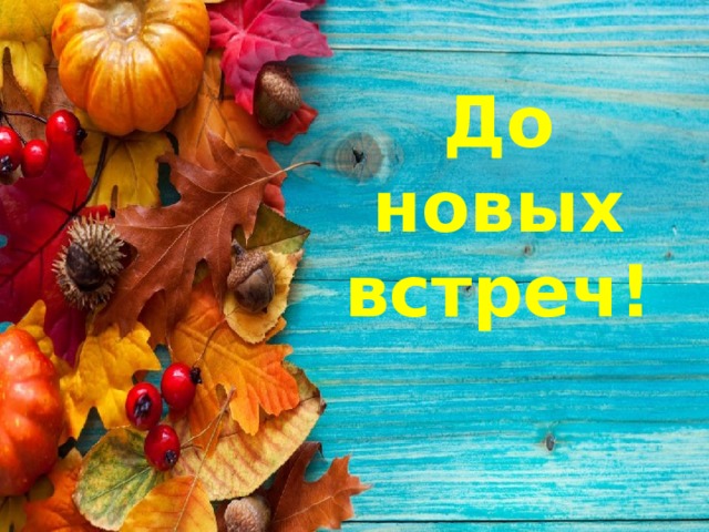 До новых встреч! 