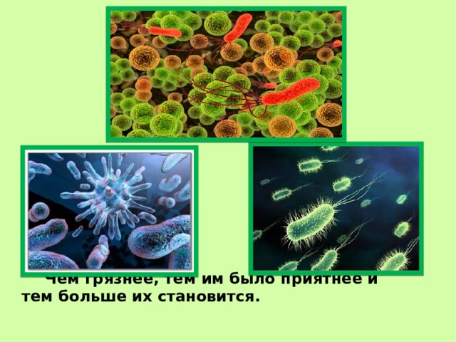   Чем грязнее, тем им было приятнее и тем больше их становится. 