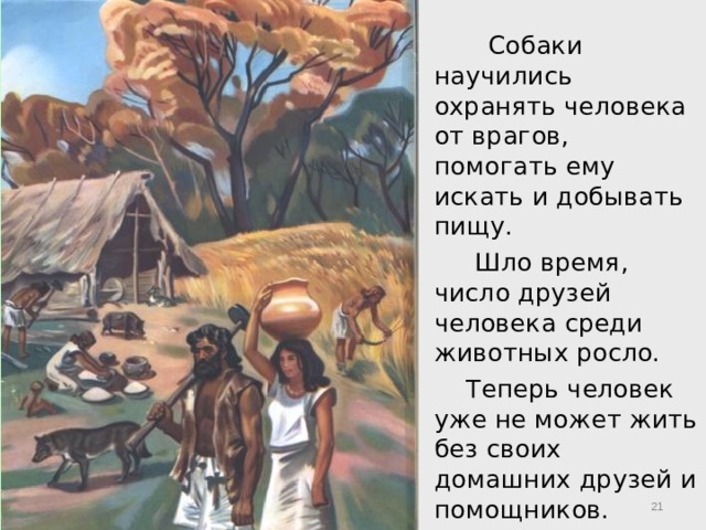   Собаки научились охранять человека от врагов, помогать ему искать и добывать пищу.  Шло время, число друзей человека среди животных росло.  Теперь человек уже не может жить без своих домашних друзей и помощников.  