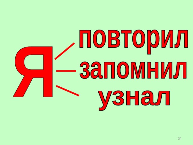 Животные Дикие Домашние  Живут рядом с  человеком. Человек заботиться о самом животном и его потомстве.  Живут в природе. Сами заботятся о себе. Сами заботятся о своём потомстве Молоко, мясо, яйца….  