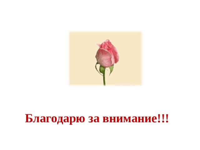 Благодарю за внимание!!! 