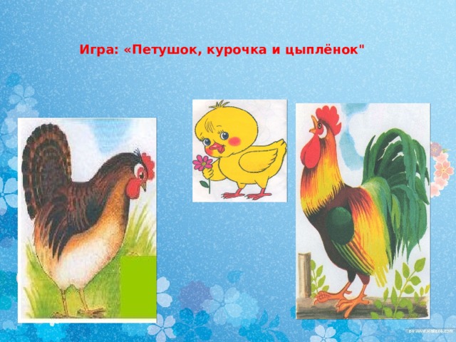 Игра: «Петушок, курочка и цыплёнок