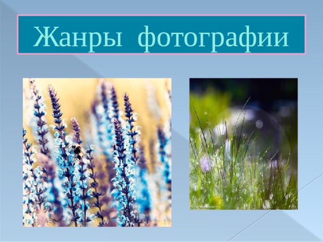  Жанры фотографии 