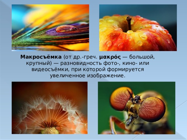 Макросъёмка (от др.-греч. μακρός  — большой, крупный) — разновидность фото-, кино- или видеосъёмки, при которой формируется увеличенное изображение. 