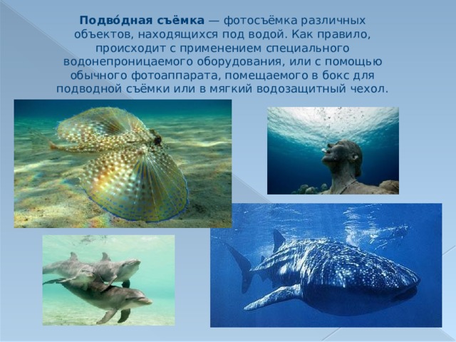 Подво́дная съёмка  — фотосъёмка различных объектов, находящихся под водой. Как правило, происходит с применением специального водонепроницаемого оборудования, или с помощью обычного фотоаппарата, помещаемого в бокс для подводной съёмки или в мягкий водозащитный чехол. 