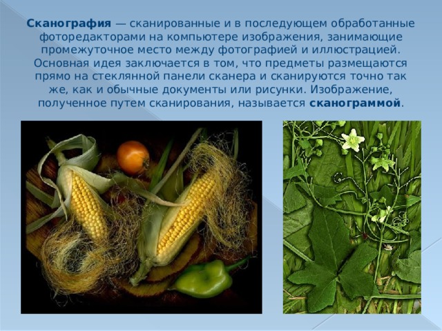 Сканография  — сканированные и в последующем обработанные фоторедакторами на компьютере изображения, занимающие промежуточное место между фотографией и иллюстрацией. Основная идея заключается в том, что предметы размещаются прямо на стеклянной панели сканера и сканируются точно так же, как и обычные документы или рисунки. Изображение, полученное путем сканирования, называется сканограммой .   