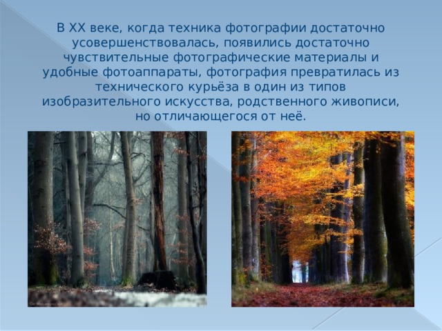 В XX веке, когда техника фотографии достаточно усовершенствовалась, появились достаточно чувствительные фотографические материалы и удобные фотоаппараты, фотография превратилась из технического курьёза в один из типов изобразительного искусства, родственного живописи, но отличающегося от неё. 