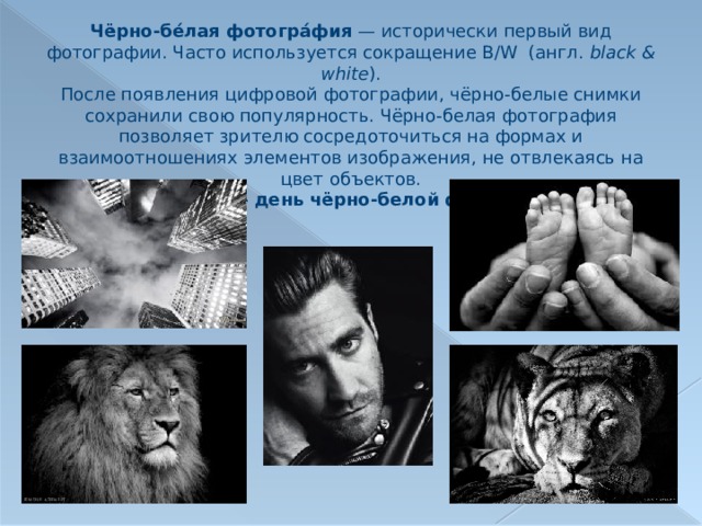 Чёрно-бе́лая фотогра́фия  — исторически первый вид фотографии. Часто используется сокращение B/W (англ.  black & white ). После появления цифровой фотографии, чёрно-белые снимки сохранили свою популярность. Чёрно-белая фотография позволяет зрителю сосредоточиться на формах и взаимоотношениях элементов изображения, не отвлекаясь на цвет объектов. 10 ноября — день чёрно-белой фотографии.     
