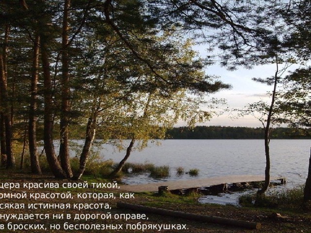 Мещера красива своей тихой, скромной красотой, которая, как  и всякая истинная красота,  не нуждается ни в дорогой оправе,  ни в броских, но бесполезных побрякушках . 