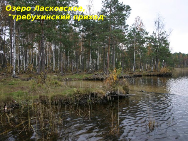 Озеро Ласковское,  