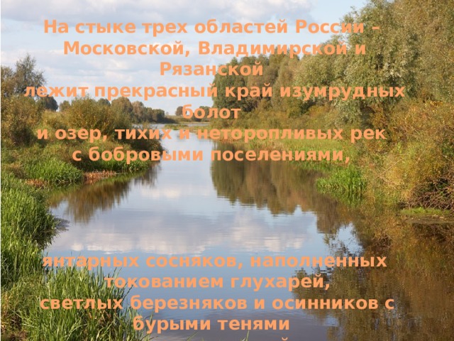 На стыке трех областей России – Московской, Владимирской и Рязанской лежит прекрасный край изумрудных болот и озер, тихих и неторопливых рек с бобровыми поселениями,     янтарных сосняков, наполненных  токованием глухарей,  светлых березняков и осинников с бурыми тенями неторопливых лосей – это Национальный парк «Мещера» 