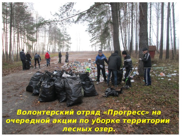 Волонтерский отряд «Прогресс» на очередной акции по уборке территории лесных озер. 