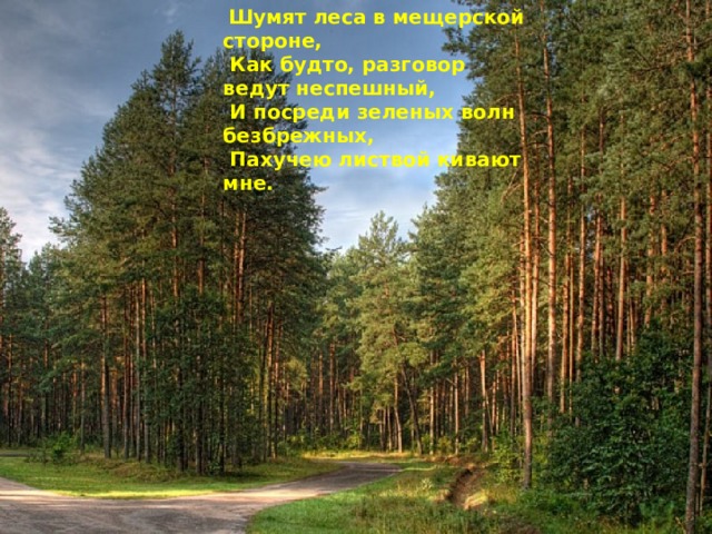  Шумят леса в мещерской стороне,  Как будто, разговор ведут неспешный,  И посреди зеленых волн безбрежных,  Пахучею листвой кивают мне. 