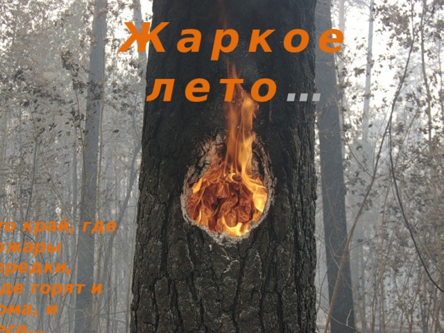 Жаркое лето … Это край, где пожары нередки,  Где горят и дома, и леса…  