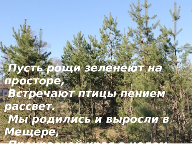  Пусть рощи зеленеют на просторе,  Встречают птицы пением рассвет.  Мы родились и выросли в Мещере,  Прекрасней края в целом мире нет! 