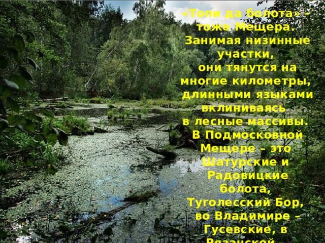 «Топи да болота» - тоже Мещера.  Занимая низинные участки,  они тянутся на многие километры,  длинными языками вклиниваясь в лесные массивы.  В Подмосковной Мещере – это Шатурские и  Радовицкие болота, Туголесский Бор,  во Владимире – Гусевские, в Рязанской – Клепиковские.  