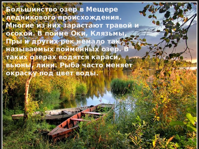 Большинство озер в Мещере ледникового происхождения. Многие из них зарастают травой и осокой. В пойме Оки, Клязьмы, Пры и других рек немало так называемых пойменных озер. В таких озерах водятся караси, вьюны, лини. Рыба часто меняет окраску под цвет воды. 