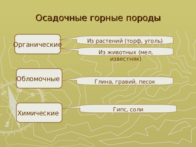 Осадочные горные породы Органические Из растений (торф, уголь) Из животных (мел, известняк) Обломочные Глина, гравий, песок Химические Гипс, соли 