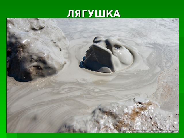 ЛЯГУШКА 