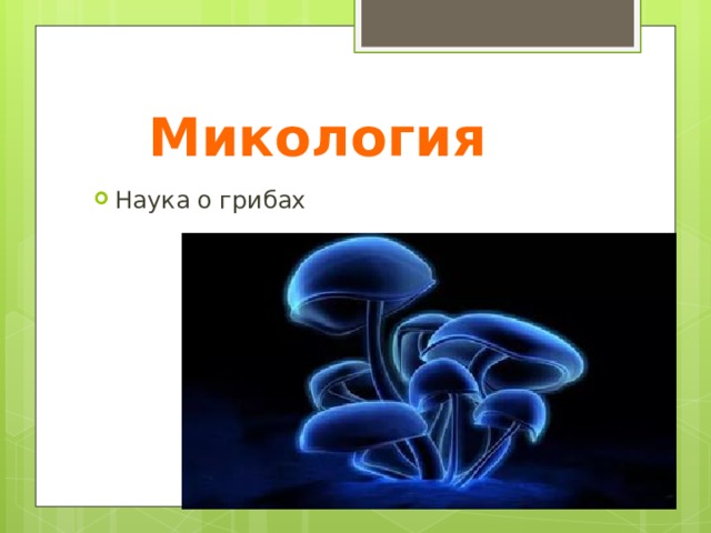 Микология Наука о грибах 
