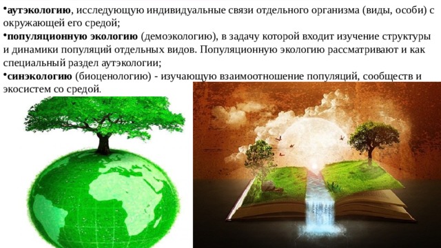 аутэкологию , исследующую индивидуальные связи отдельного организма (виды, особи) с окружающей его средой;  популяционную экологию  (демоэкологию), в задачу которой входит изучение структуры и динамики популяций отдельных видов. Популяционную экологию рассматривают и как специальный раздел аутэкологии;  синэкологию  (биоценологию) - изучающую взаимоотношение популяций, сообществ и экосистем со средой . 