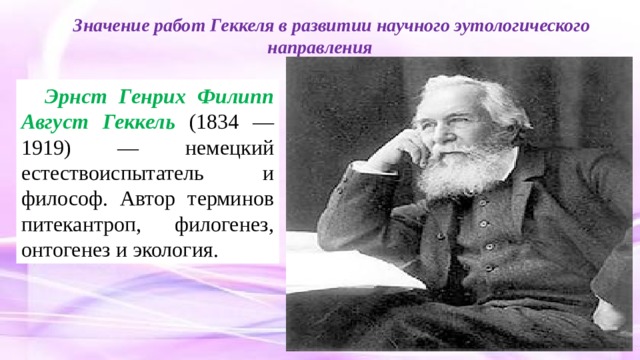 Значение работ Геккеля в развитии научного эутологического направления Эрнст Генрих Филипп Август Геккель  (1834 — 1919) — немецкий естествоиспытатель и философ. Автор терминов питекантроп, филогенез, онтогенез и экология. 