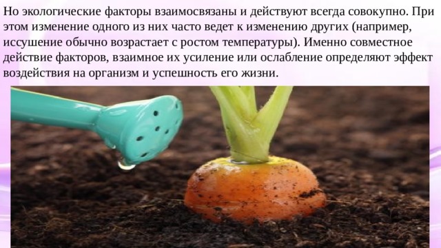 Но экологические факторы взаимосвязаны и действуют всегда совокупно. При этом изменение одного из них часто ведет к изменению других (например, иссушение обычно возрастает с ростом температуры). Именно совместное действие факторов, взаимное их усиление или ослабление определяют эффект воздействия на организм и успешность его жизни. 