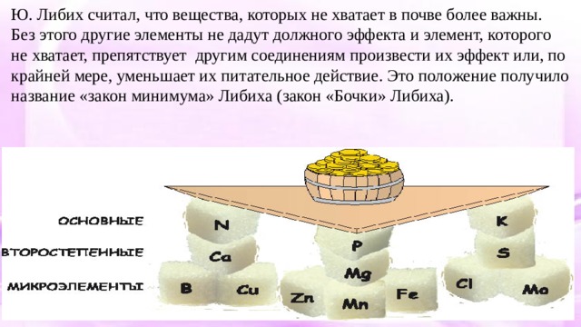 Ю. Либих считал, что вещества, которых не хватает в почве более важны. Без этого другие элементы не дадут должного эффекта и элемент, которого не хватает, препятствует другим соединениям произвести их эффект или, по крайней мере, уменьшает их питательное действие. Это положение получило название «закон минимума» Либиха (закон «Бочки» Либиха). 