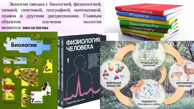 Экология связана с биологией, физиологией, химией, генетикой, географией, математикой, правом и другими дисциплинами. Главным объектом изучения экологии являются   экосистемы . 