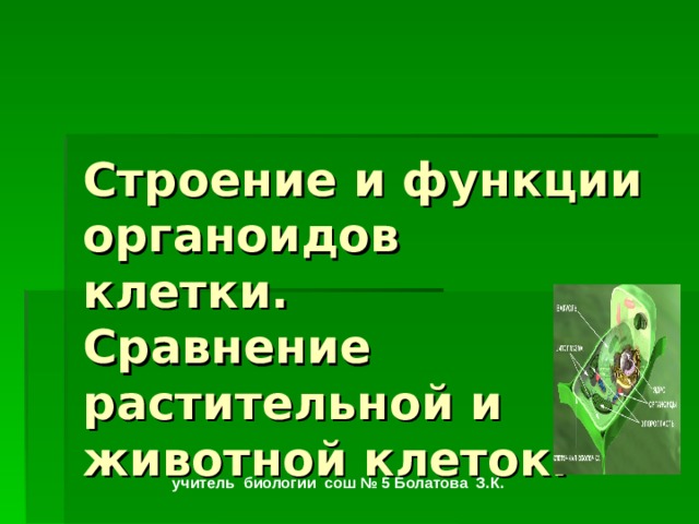 Строение и функции органоидов клетки.  Сравнение растительной и животной клеток.  учитель биологии сош № 5 Болатова З.К. 
