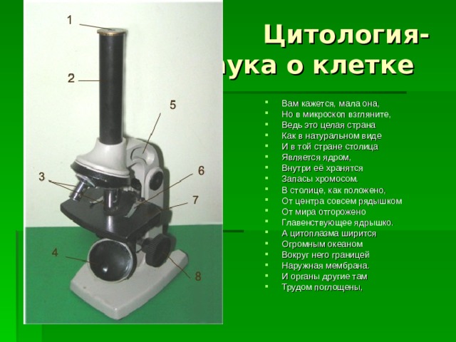  Цитология-  наука о клетке Вам кажется, мала она, Но в микроскоп взгляните, Ведь это целая страна Как в натуральном виде И в той стране столица Является ядром, Внутри её хранятся Запасы хромосом. В столице, как положено, От центра совсем рядышком От мира отгорожено Главенствующее ядрышко. А цитоплазма ширится Огромным океаном Вокруг него границей Наружная мембрана. И органы другие там Трудом поглощены,   