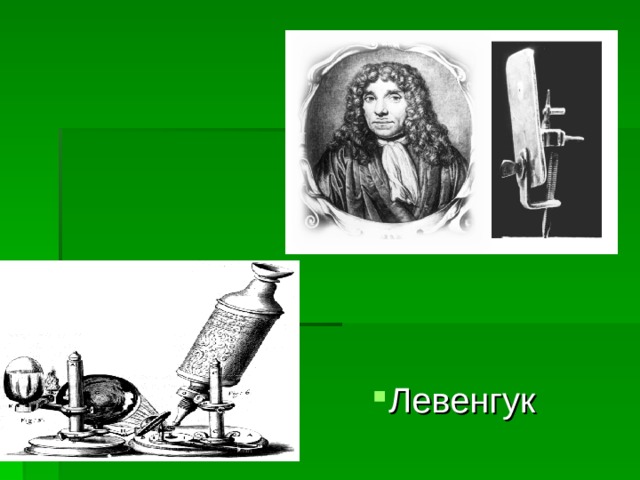 Сквозь волшебный прибор Левенгука  на поверхности капли воды  обнаружила наша наука удивительной жизни следы  Левенгук 