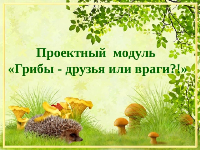 Проектный модуль  «Грибы - друзья или враги?!» 