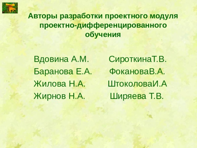 Авторы разработки проектного модуля проектно-дифференцированного обучения Вдовина А.М. СироткинаТ.В. Баранова Е.А. ФокановаВ.А. Жилова Н.А. ШтоколоваИ.А Жирнов Н.А. Ширяева Т.В. 