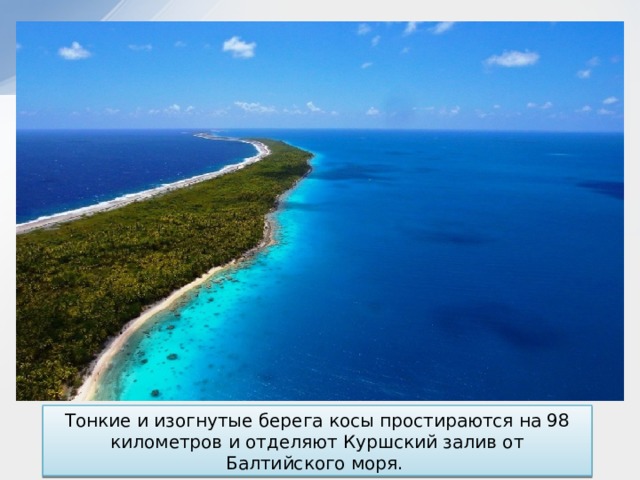 Тонкие и изогнутые берега косы простираются на 98 километров и отделяют Куршский залив от Балтийского моря.  