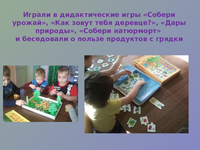 Играли в дидактические игры «Собери урожай», «Как зовут тебя деревце?», «Дары природы», «Собери натюрморт» и беседовали о пользе продуктов с грядки  