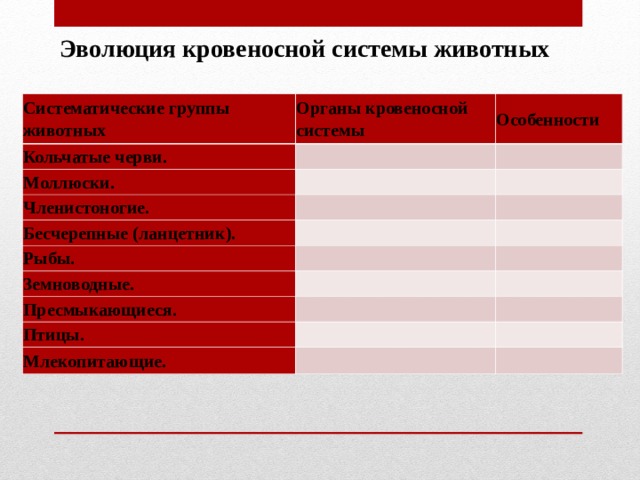 Эволюция кровеносной системы животных Систематические группы животных Органы кровеносной системы Кольчатые черви. Особенности Моллюски. Членистоногие. Бесчерепные (ланцетник). Рыбы. Земноводные. Пресмыкающиеся. Птицы. Млекопитающие. 