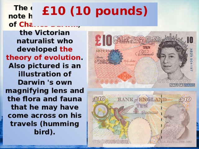 £10 (10 pounds) The current £10 note has a portrait of Charles Darwin , the Victorian naturalist who developed the theory of evolution . Also pictured is an illustration of Darwin 's own magnifying lens and the flora and fauna that he may have come across on his travels (humming bird).   