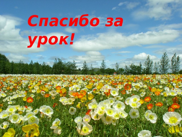 Спасибо за урок! 