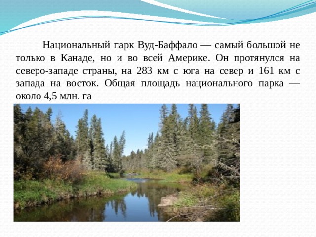  Национальный парк Вуд-Баффало — самый большой не только в Канаде, но и во всей Америке. Он протянулся на северо-западе страны, на 283 км с юга на север и 161 км с запада на восток. Общая площадь национального парка — около 4,5 млн. га 